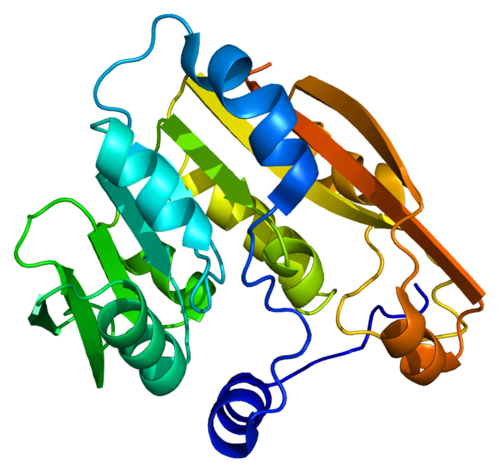 Thiopurine methyltransferase